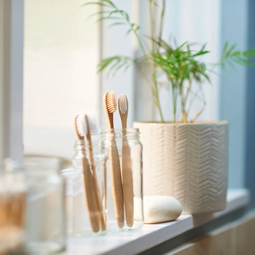 A Guide To Choosing The Best Bamboo Toothbrush With Charcoal Bristles