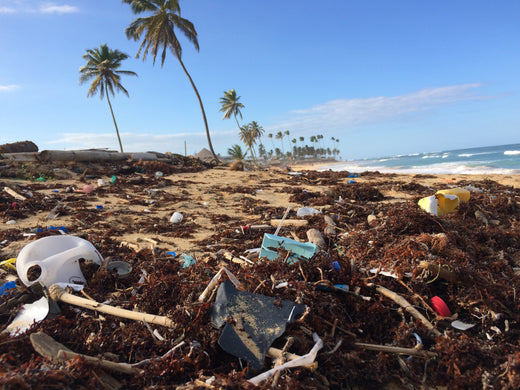 5 Ways Plastic Pollution Solution to Implement in Your Life Today