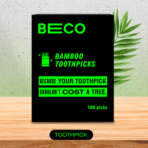 Bamboo Toothpick - 100 Picks