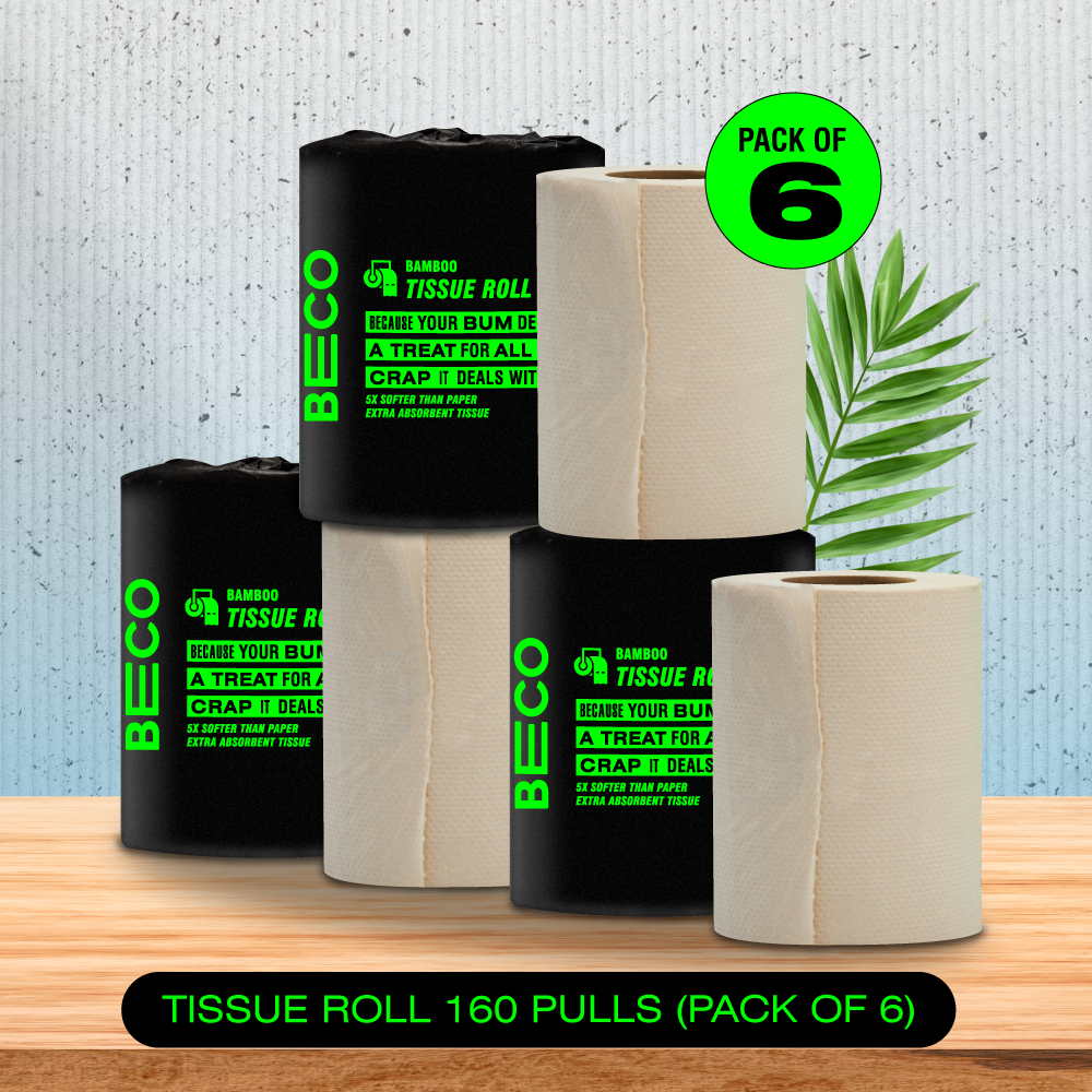 Bamboo Toilet Paper - 160 pulls | Pack of 6