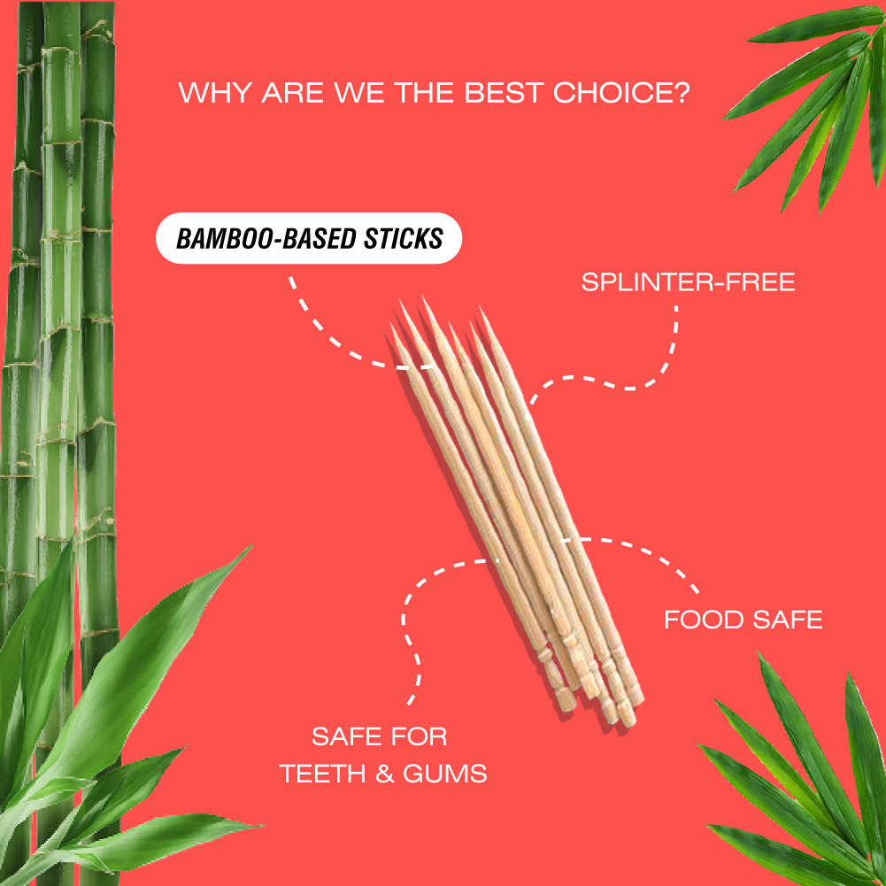 Bamboo Toothpick - 100 Picks