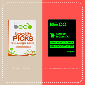 Bamboo Toothpick - 100 Picks | Pack of 2